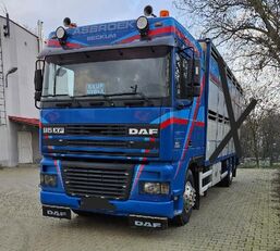 грузовик шасси DAF XF 95 380