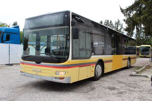 MAN A 21/ Lion's City/ elektrische Klima city bus