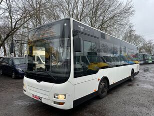 autobuz urban MAN A 66 Midi (EEV)