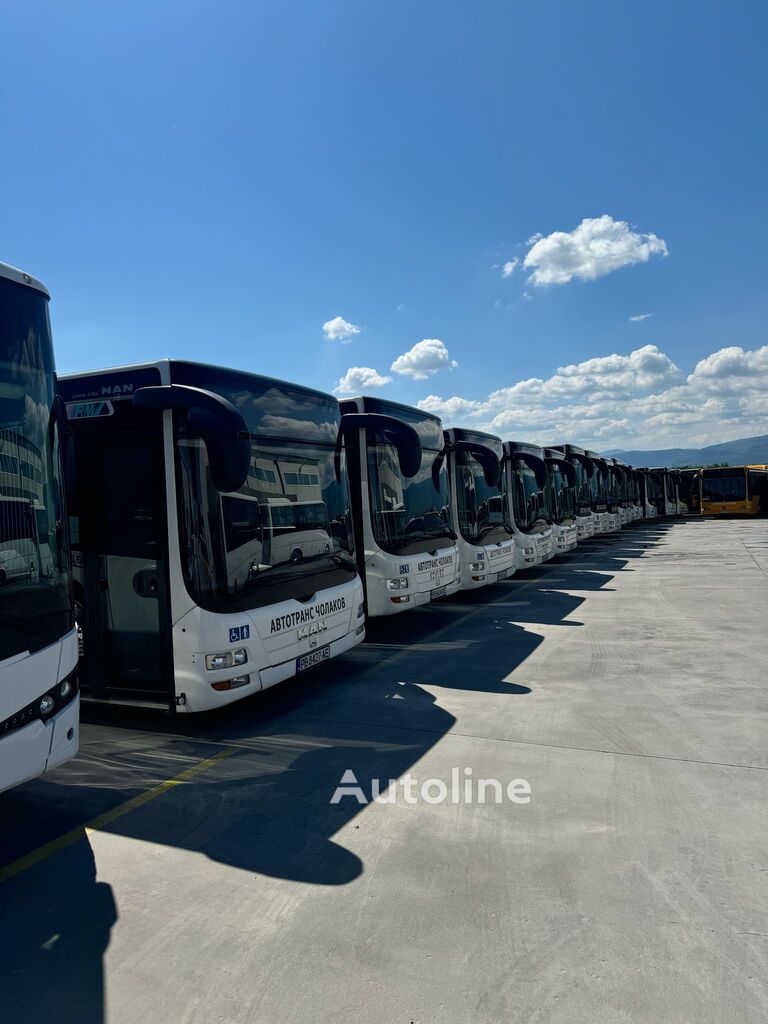 Купить городской автобус MAN Lioncity | Autoline EE Городской автобус MAN Lioncity - Autoline