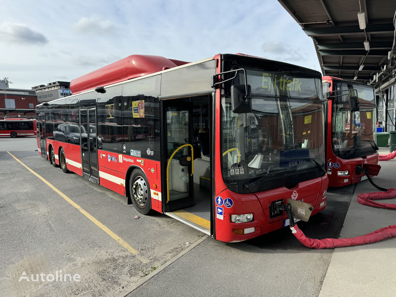 MAN Lions City CNG EEV (15 BUSES) autobús urbano