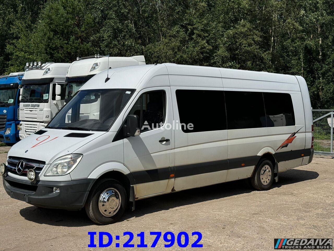 bus pariwisata Mercedes-Benz Sprinter 516 - VIP - 23 Seater