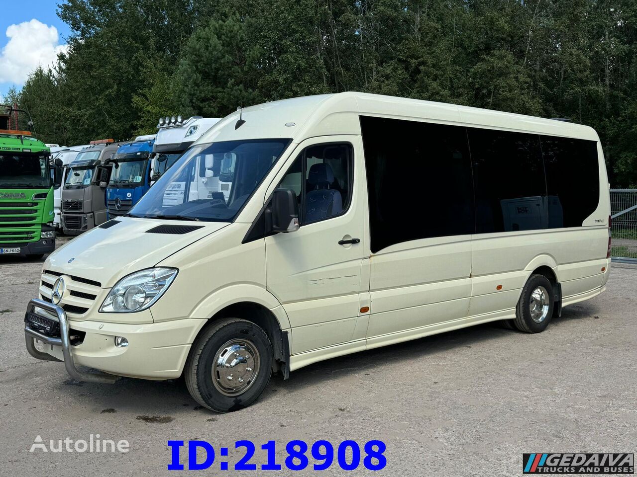 autocar Mercedes-Benz Sprinter 519 VIP 18-Place Prostyle Euro5