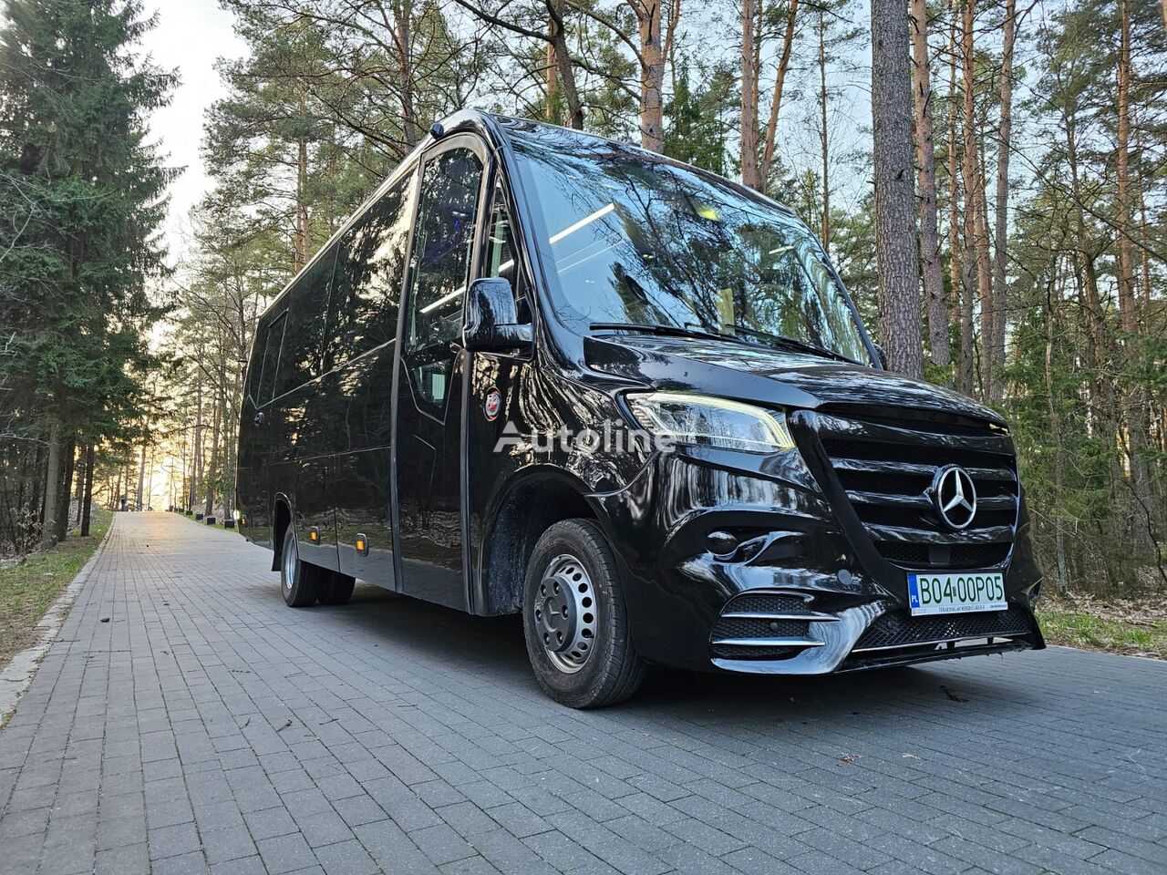 nowy autokar turystyczny Mercedes-Benz Sprinter miejsc: 31 TELMA DOSTĘPNY OD RĘKI!!