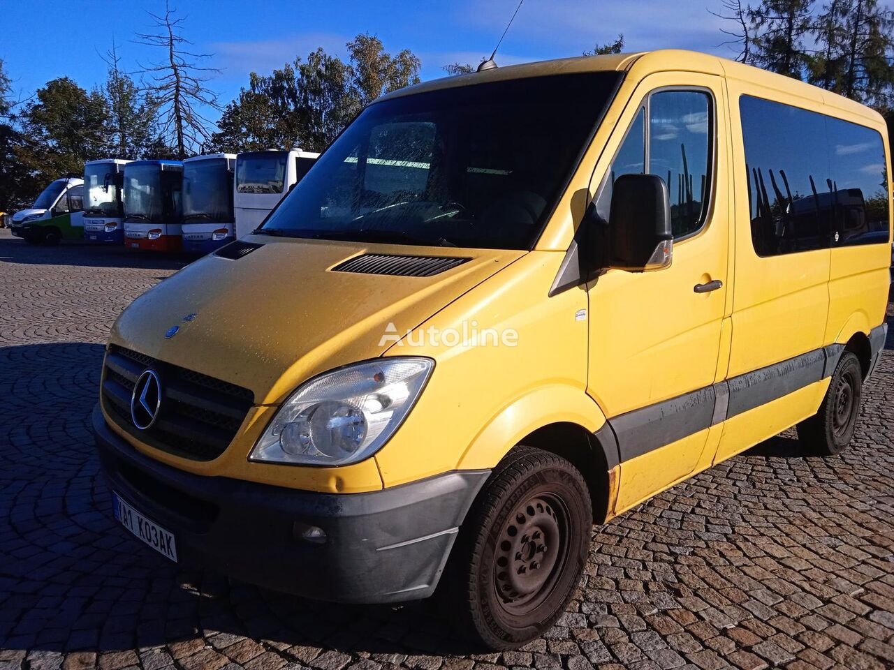 Mercedes-Benz Sprinter car-derived van