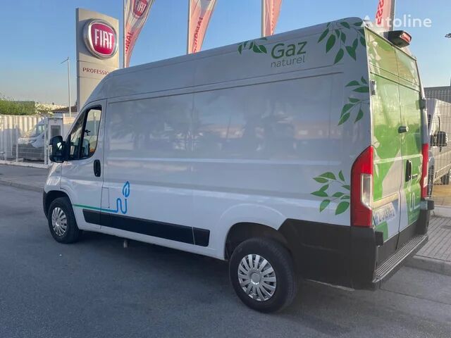 FIAT ducato closed box van