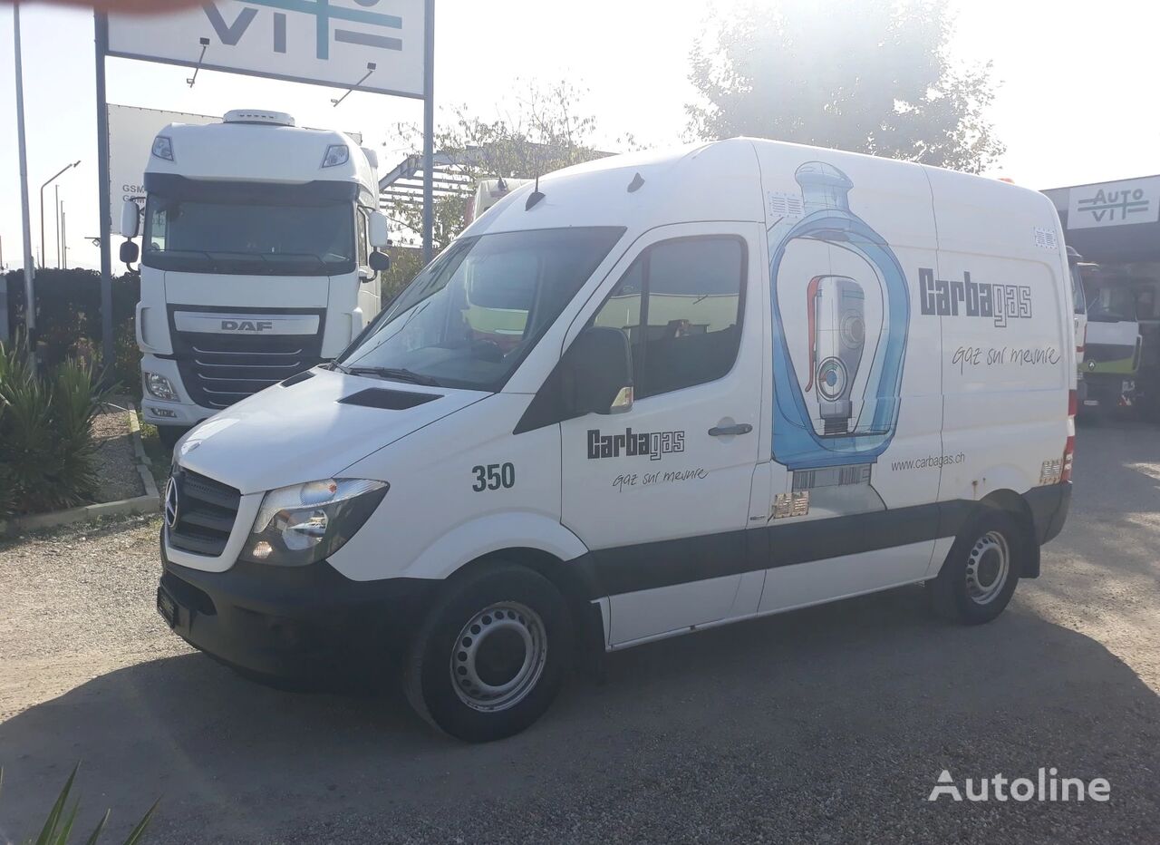 Mercedes-Benz Sprinter 313  minibus furgon