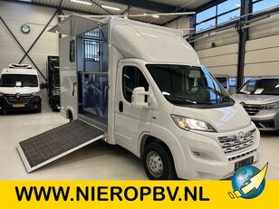 Opel Movano 2.2 Paardenwagen Hengsten Uitvoering Airco Cruisecontrol  furgoneta