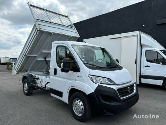 덤프 트럭 < 3.5t FIAT Ducato