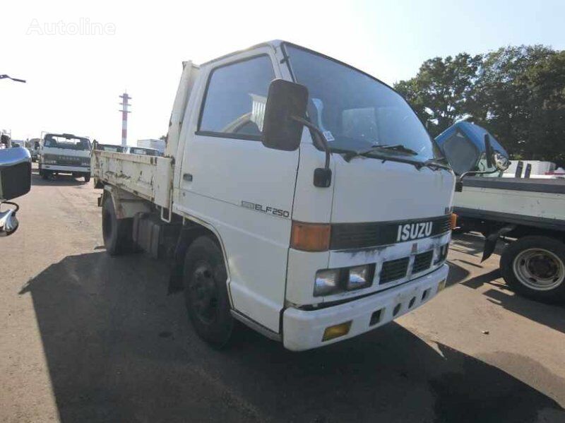 бортовой грузовик < 3.5т Isuzu ELF