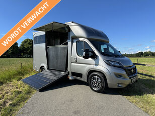 신품 말 수송차 FIAT Ducato 2-paards paardenvrachtwagen