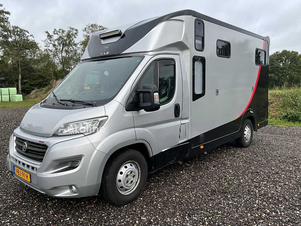 Transport de chevaux Fiat Ducato à vendre | Autoline TG Transport de chevaux Fiat Ducato - Autoline