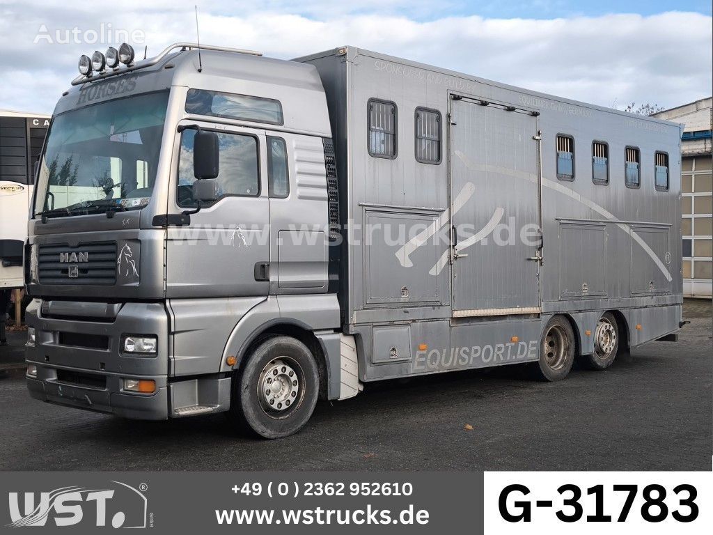 transport de chevaux MAN TGA 26.480 FG   6x2 Pferdetransporter Luft/Luft