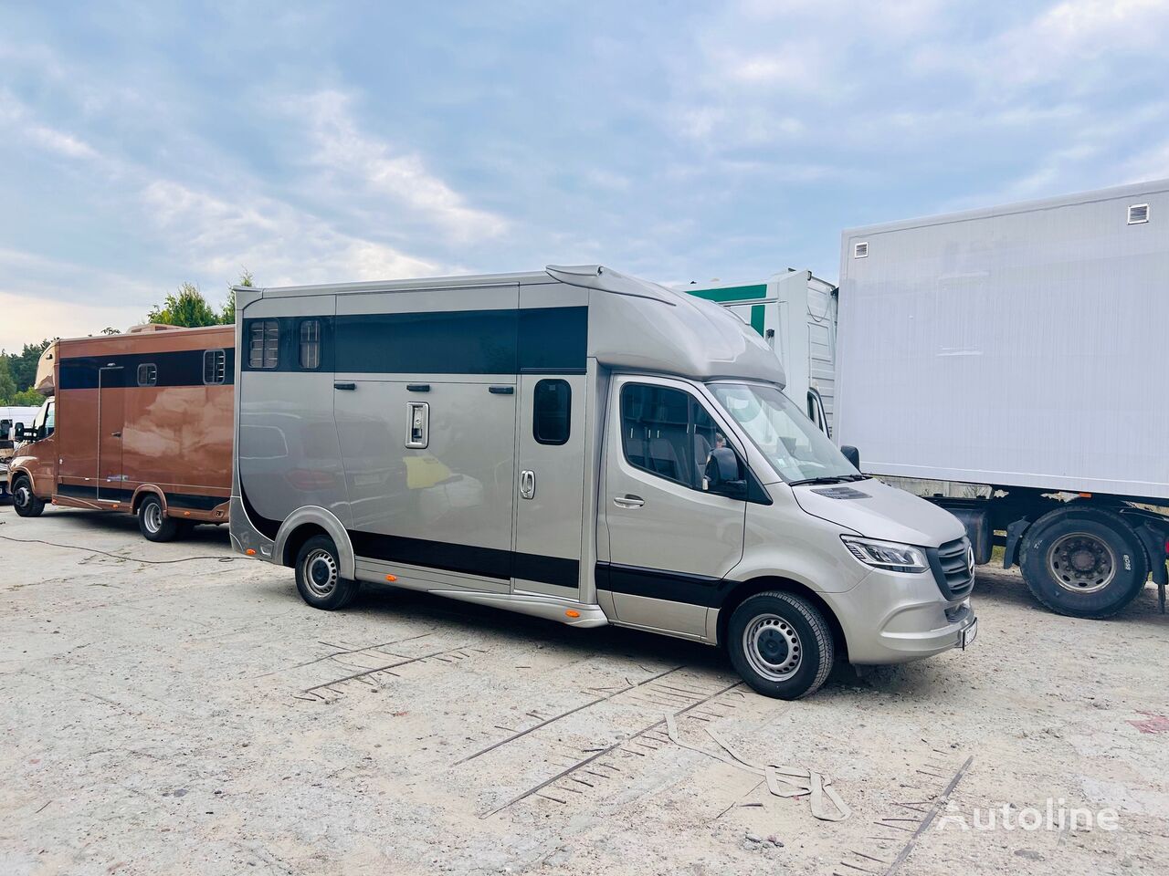 new Mercedes-Benz SPRINTER horse transporter