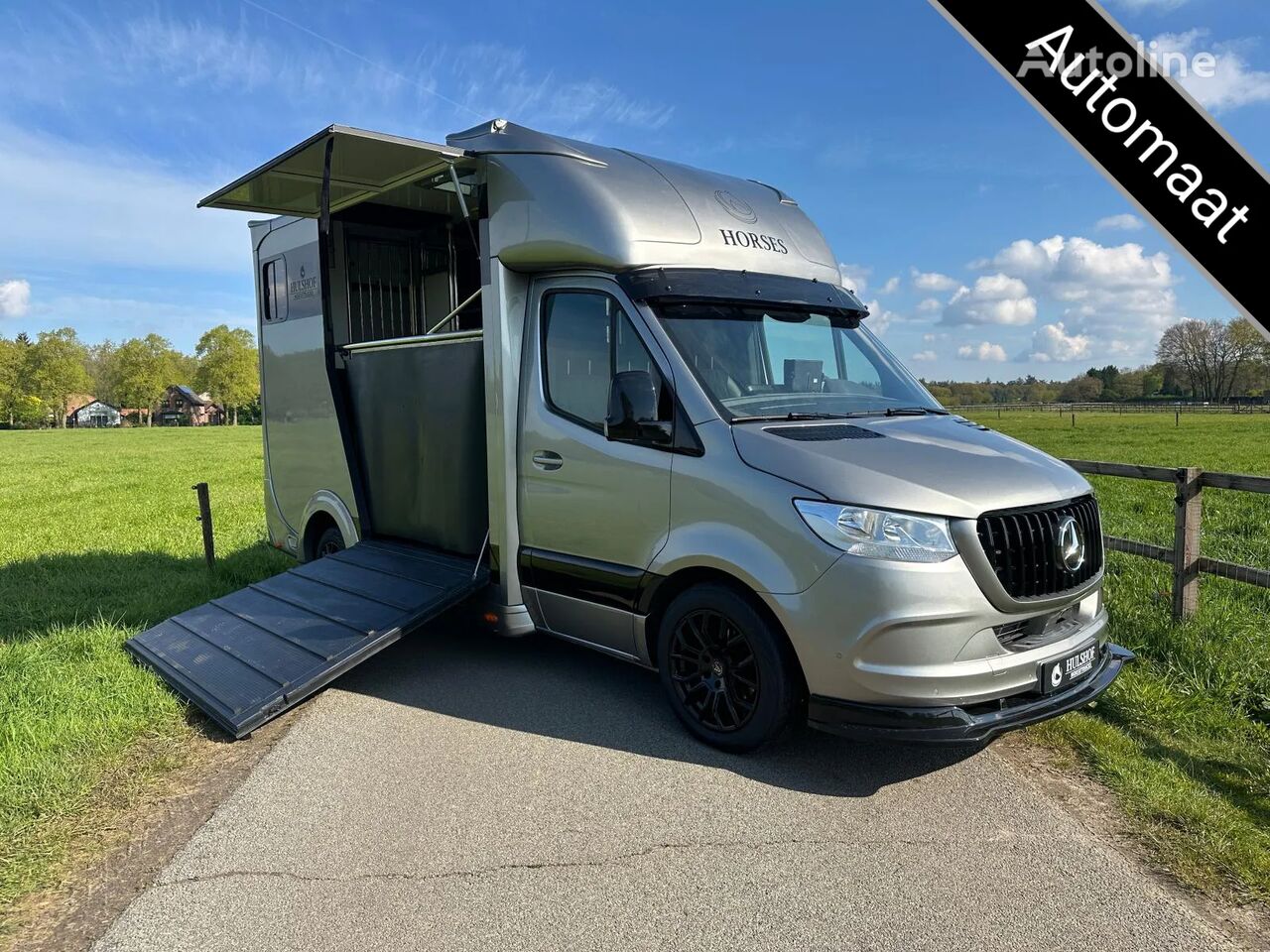 Mercedes-Benz Sprinter 317 AMG 2-paards paardenvrachtwagen B-rijbewijs hestetransporter