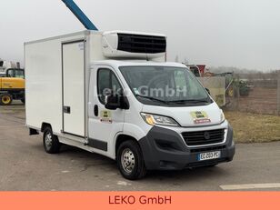 авторефрижератор < 3.5т FIAT Ducato 2,2