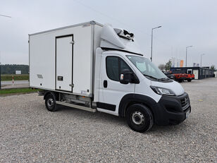 truk berpendingin < 3.5t Fiat Ducato Maxi L2+     DW8UR84