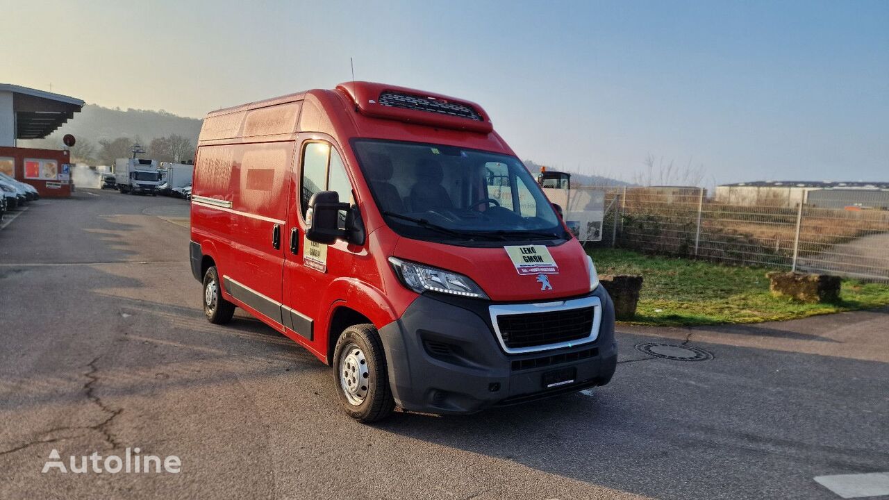 микроавтобус рефрижератор Peugeot Boxer 335-130 FL2 Mit Thermoking Bis -20°C