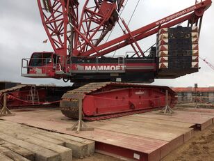 Terex crawler crane, used Terex crawler crane for sale | Machineryline.info