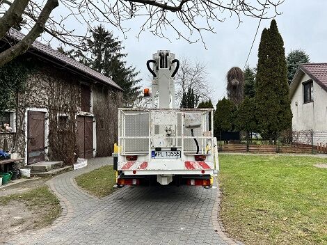 Mercedes-Benz 814 mobile crane