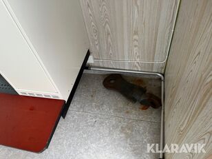 بيع منزل / مكتب متنقل Norrlandsvagnar OMFT5-50D - صورة 30 | Machineryline SY منزل / مكتب متنقل Norrlandsvagnar OMFT5-50D | صورة 30 - Machineryline