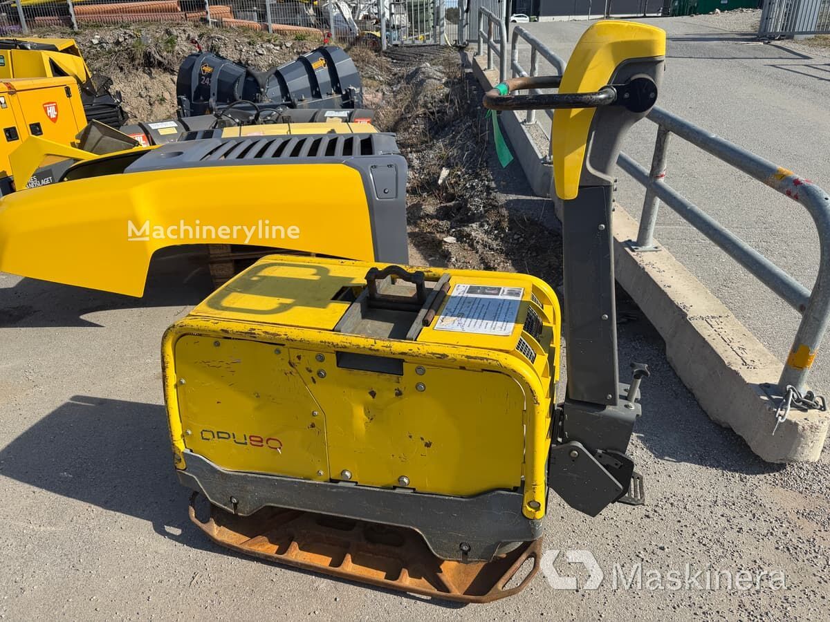 Wacker Neuson DPU80 plancha vibratoria - Machineryline