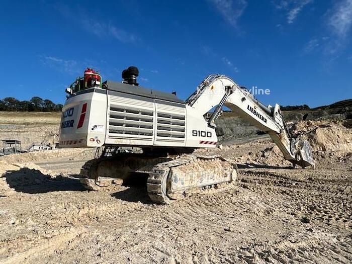 Liebherr R9100 excavadora de cadenas - Machineryline