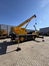 Liebherr LTM 1030 gr&uacute;a m&oacute;vil