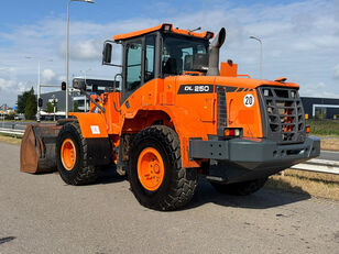 Doosan DL250-3 Radlader
