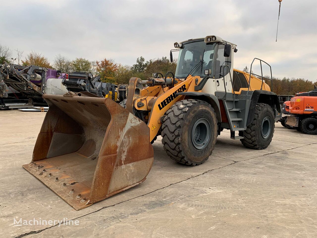 Liebherr L 576 (mozhlyvyi lizynh) wheel loader