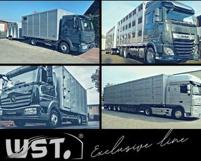 Schmitz Cargobull BDF Wechselbrücke AFW 18 container chassis trailer for sale - Image 14 | Autoline BW Schmitz Cargobull BDF Wechselbrücke AFW 18 container chassis trailer | Image 14 - Autoline