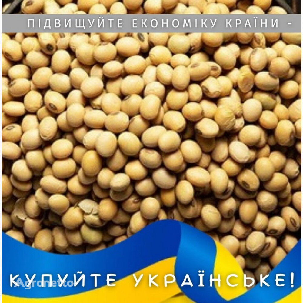 VS-00 ultra-early soybean seeds, fr. 5; 6.5