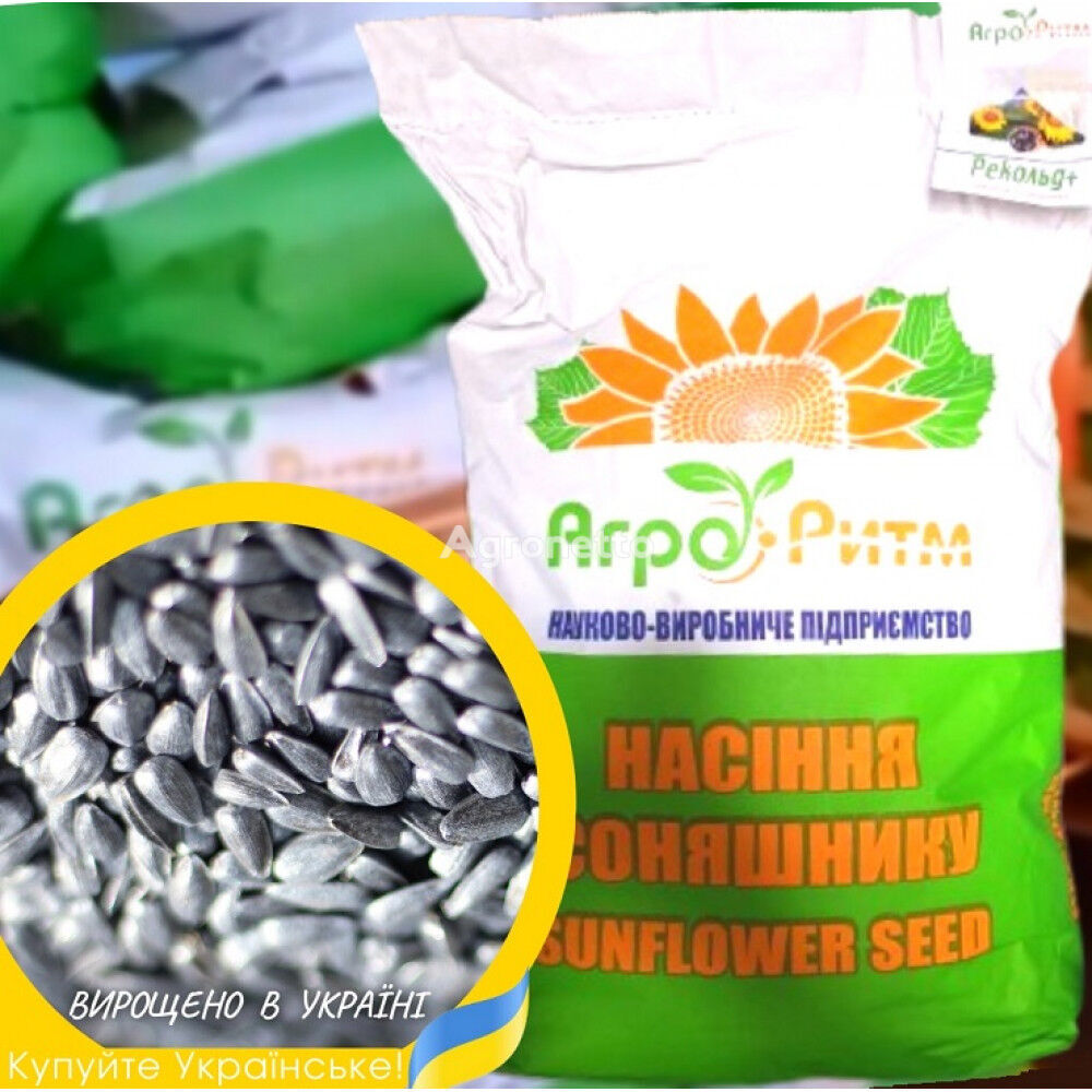 new Nasinnia soniashnyka Rekold, pid Hranstar, Premium, vrozhai - 2023 oil seed