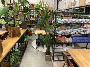 Kunstplantmet pot sierheester jonge boom