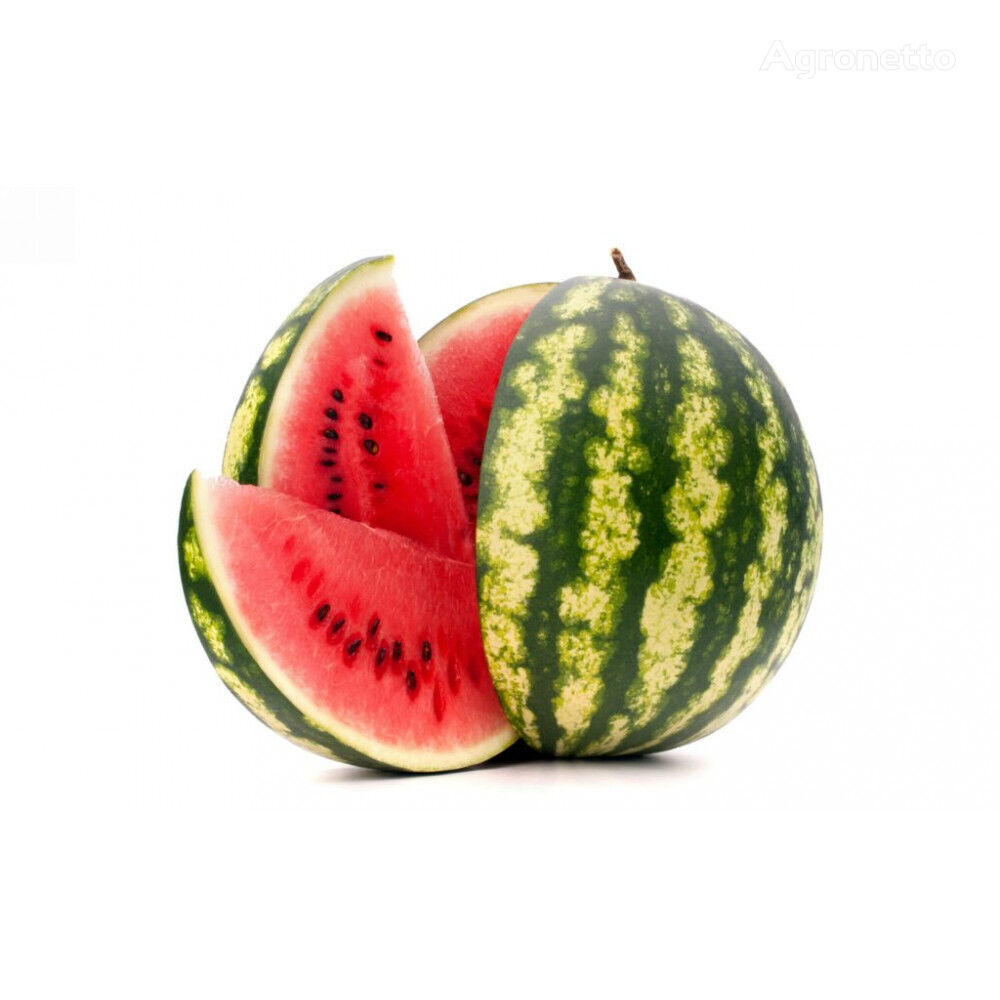 Watermelon seeds Treasure, packing 1 kg