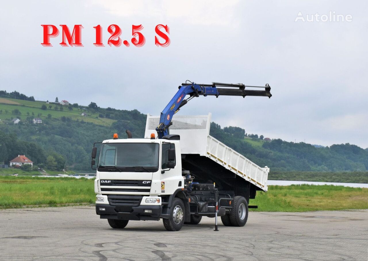 شاحنة قلابة DAF CF 75.310