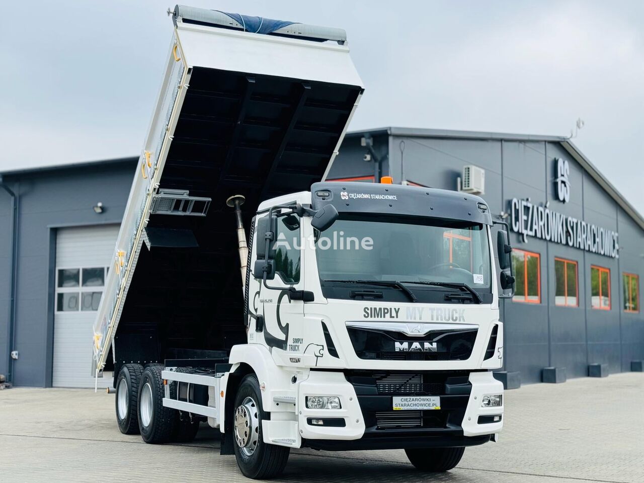 MAN TGM TGS TGX 26.290  dump truck