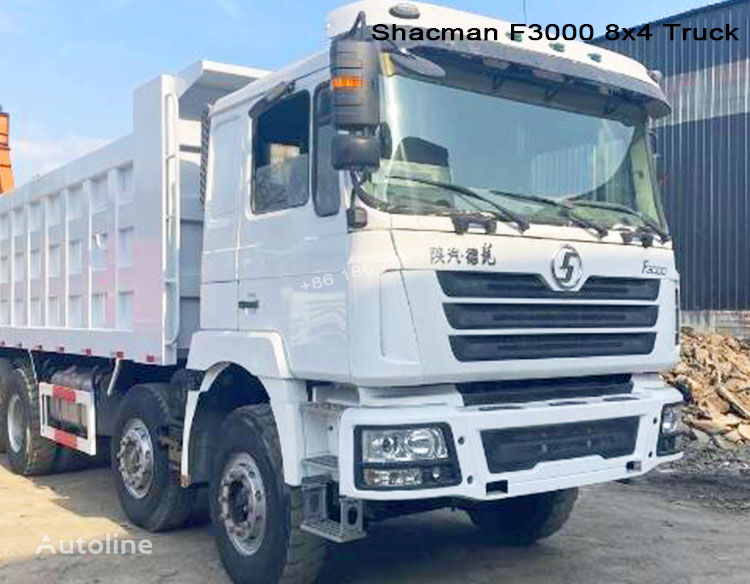 neuer Shacman F3000 Muldenkipper