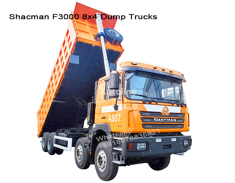 camion-benne Shacman F3000 neuf