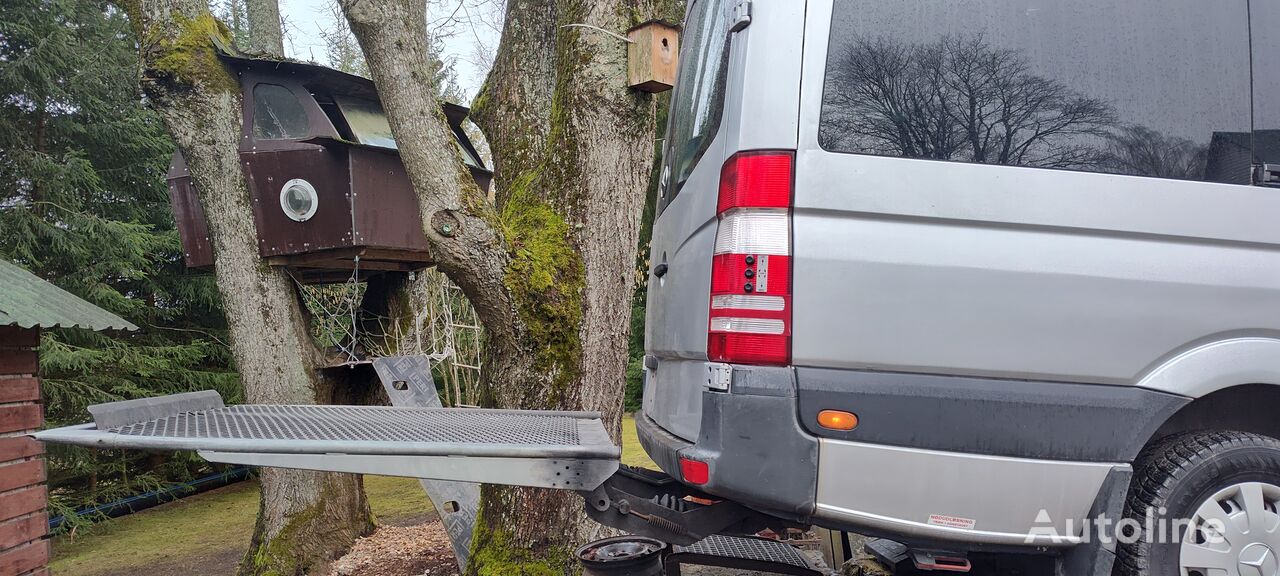 élévateur pour fauteuil roulant DK lifte ApS