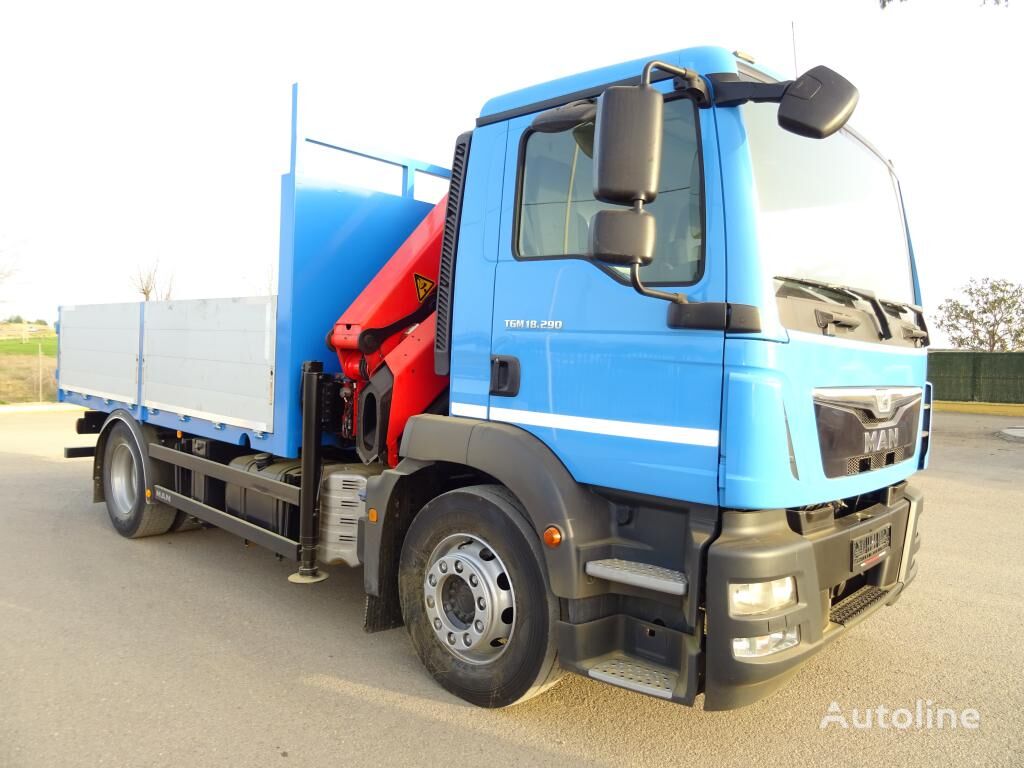 MAN TGM 18 290 flatbed truck