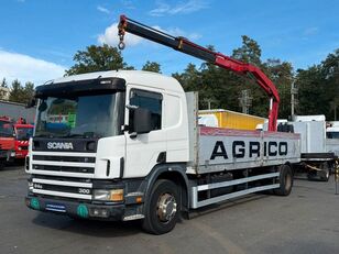 бортовой грузовик Scania P94 300 FASSI F95A.22 KRAN / CRANE (9041)