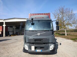 camion plateau Volvo FL 250.180 EURO 6 PASSO LUNGO, PORTA CONTAINER