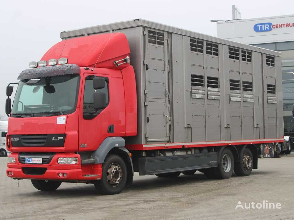 DAF LF 55.280 camión para transporte de vidrio