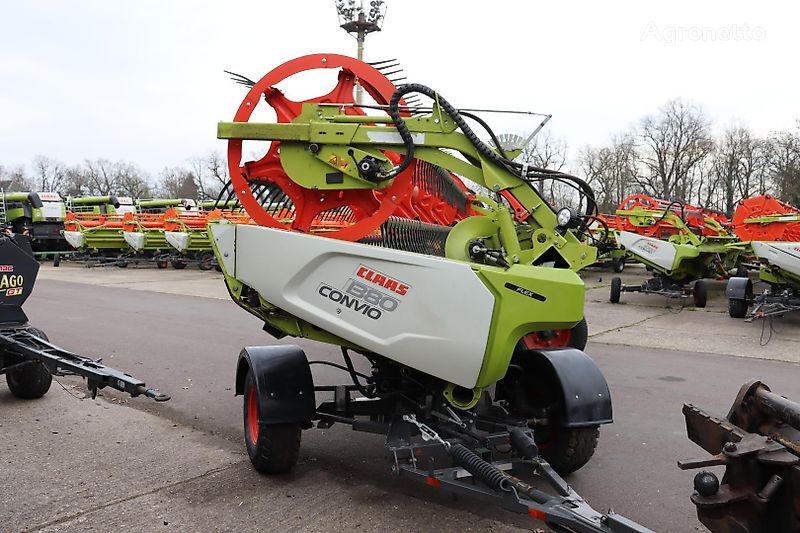 testata per grano Claas CONVIO FLEX 1380