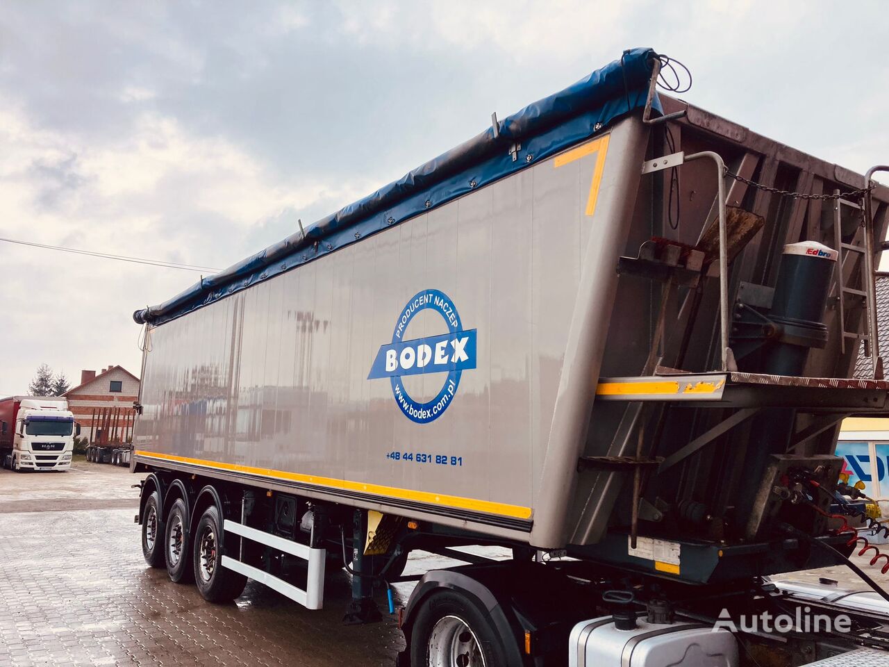 Bodex 50 kub SAF INTRAX  grain semi-trailer