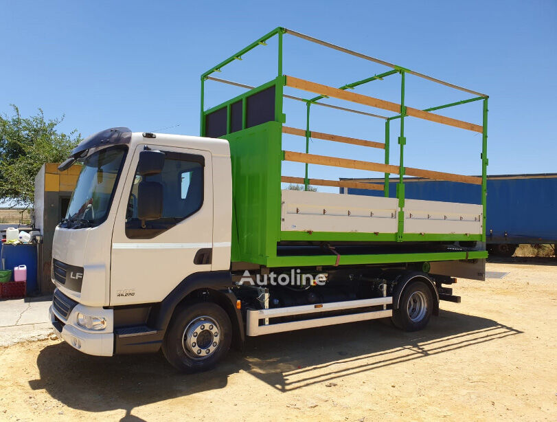 DAF LF 45 200 camión con gancho