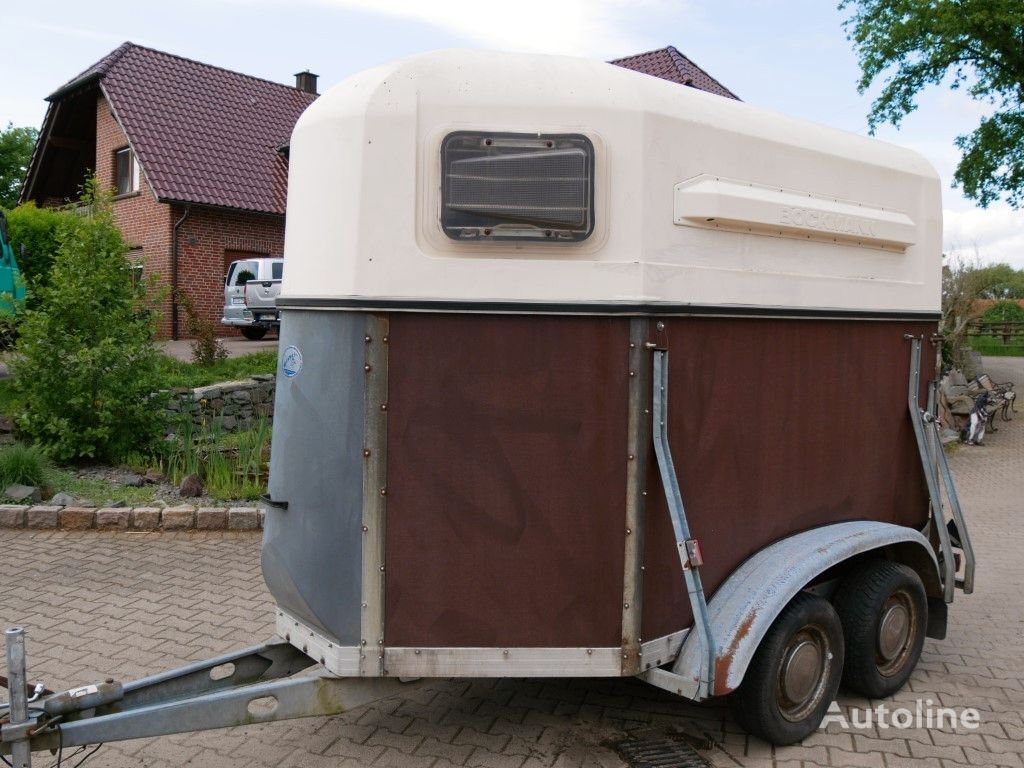 Böckmann Holz Poly 2 Pferde horse trailer