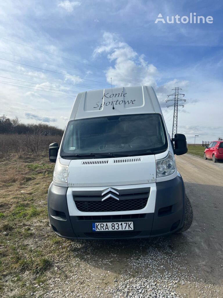 Citroen Jumper horse transporter