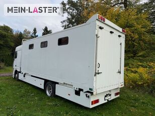 DAF XF 95 380 Pferdetransport 9 Pferde 2x Rampen horse transporter